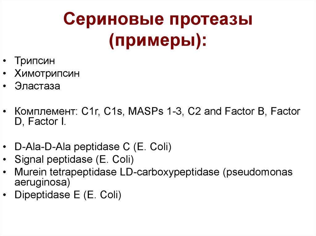 Proteolysis латынь. Протеазы примеры. Сериновых протеаз примеры. Сериновые протеазы (трипсин, химотрипсин, эластаза, тромбин):. Протеазы классификация.