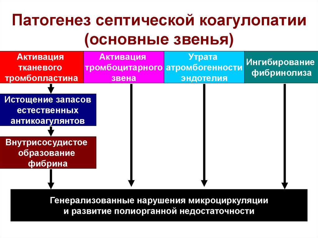 Основное звено патогенеза