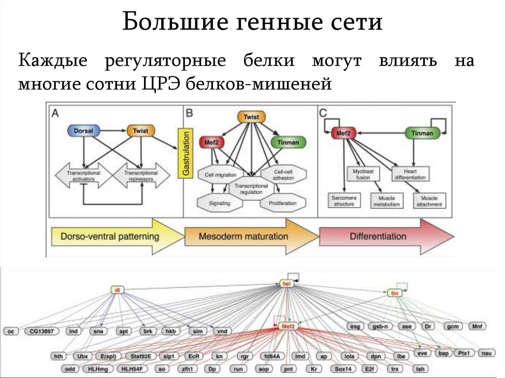 epub mind design