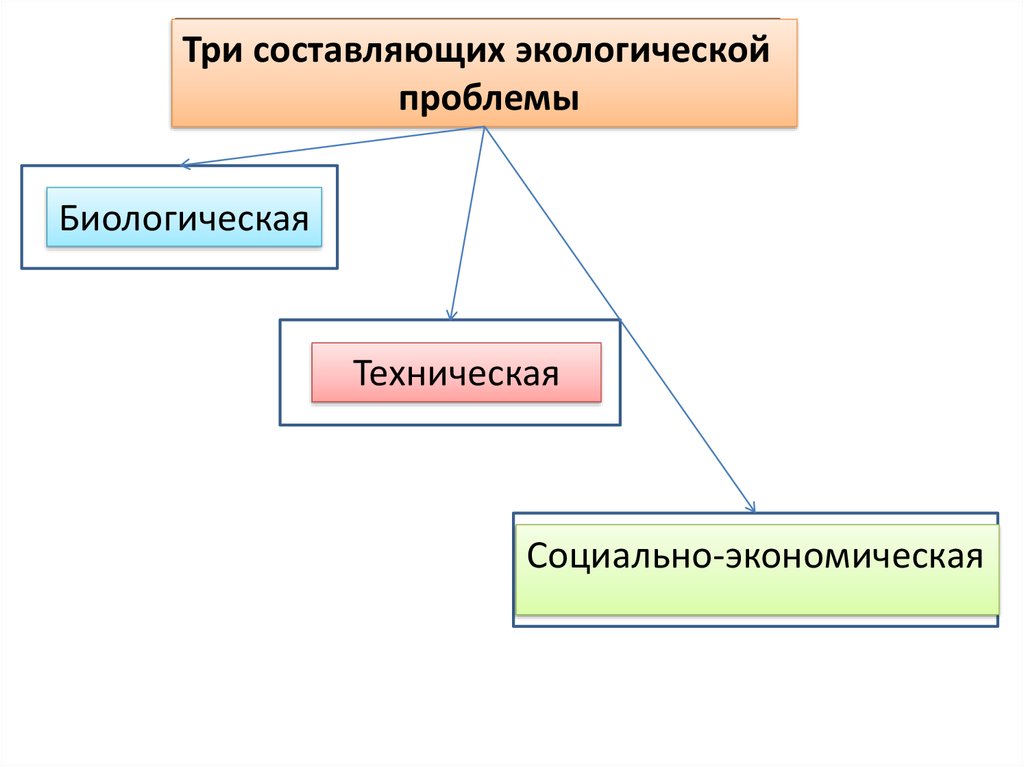 Текст проблемы современного общества