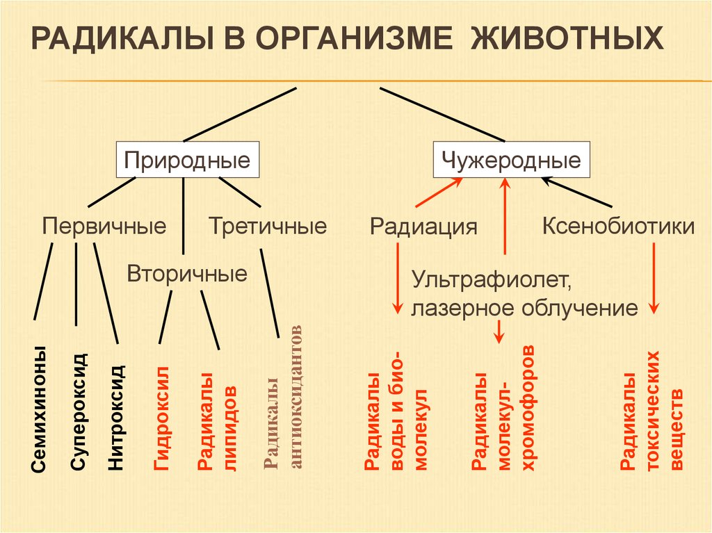 Организация радикал