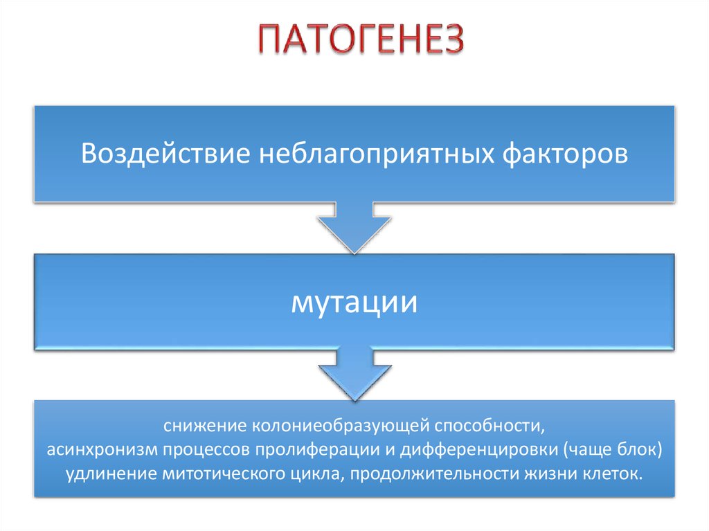 Патогенез хронического. Острый лимфолейкоз патогенез. Схема патогенеза острого лейкоза. Патогенез острого лейкоза. Хронический лимфолейкоз патогенез.