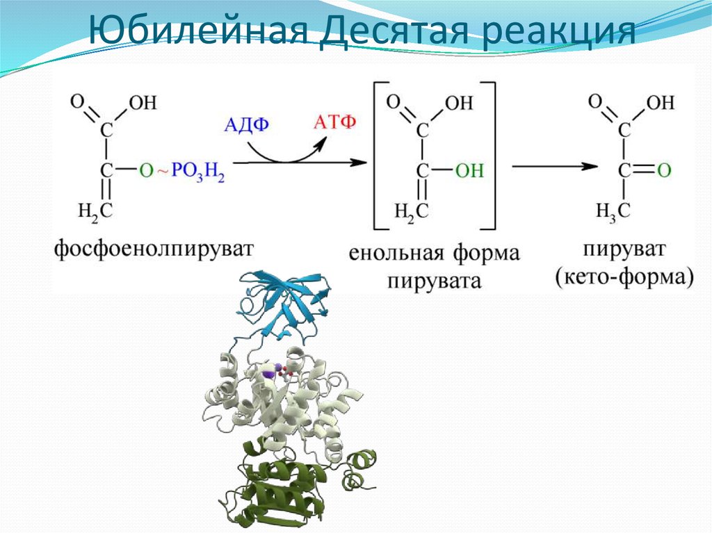Юбилейная Десятая реакция