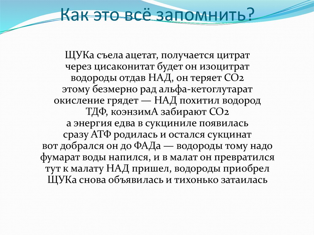 Как это всё запомнить?