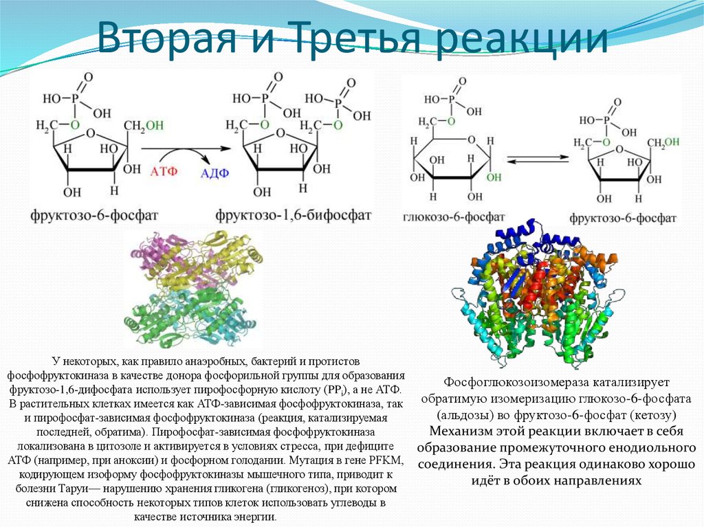 Третья реакция