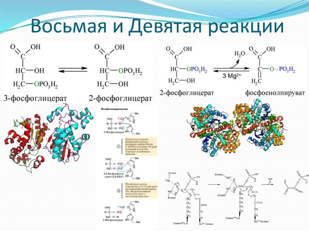 9 реакций