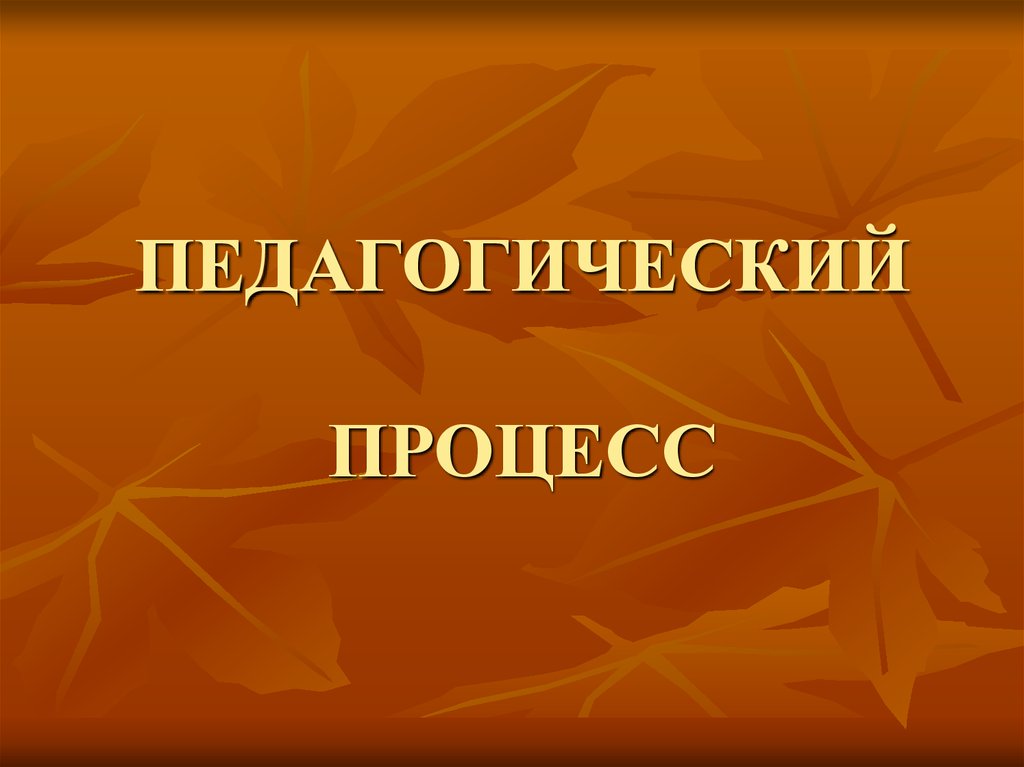 ПЕДАГОГИЧЕСКИЙ ПРОЦЕСС