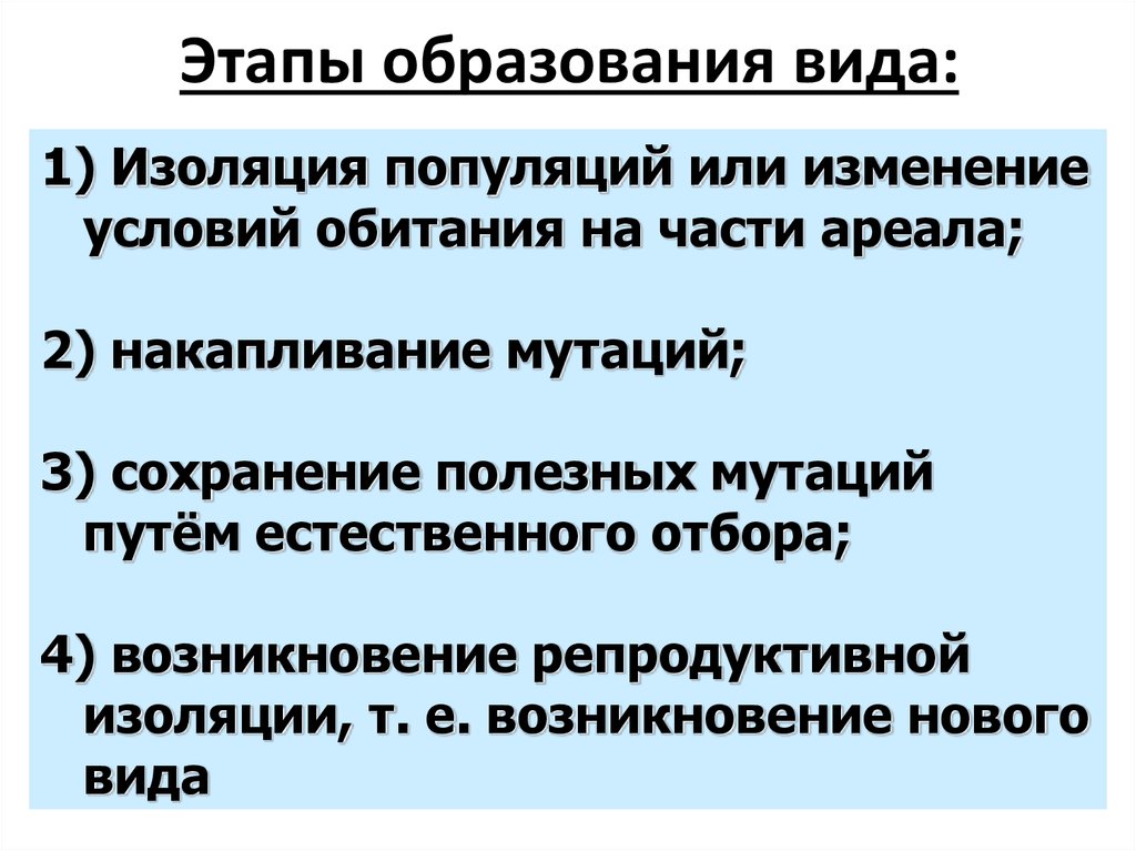 Процессы образования видов презентация 9 класс пономарева