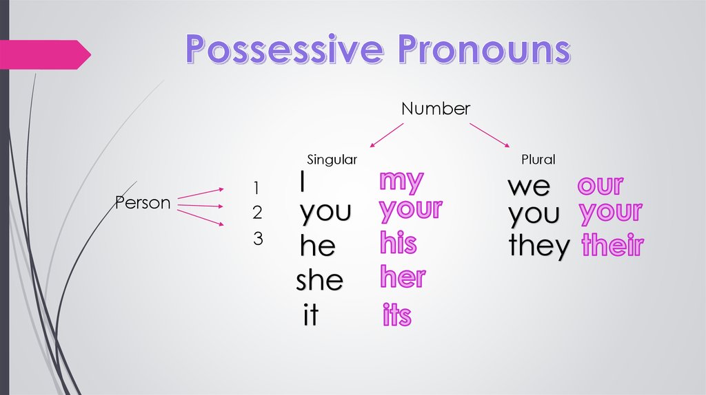 Possessive adjectives презентация