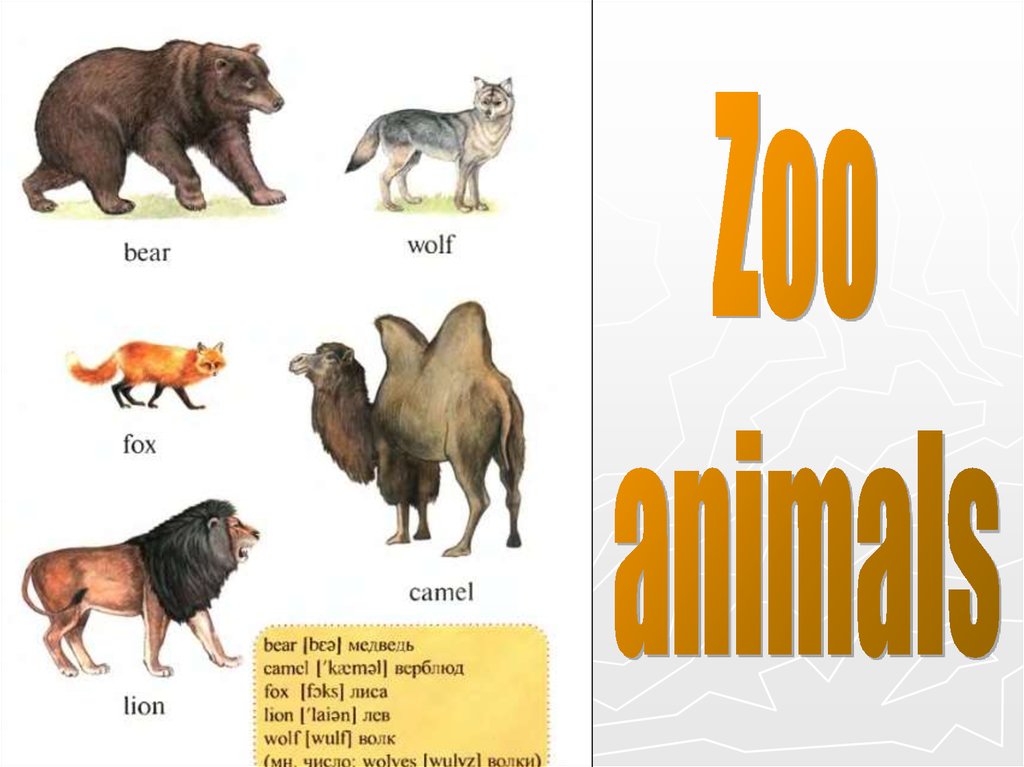 Дикие животные на английском 3 класс. Животные на англ. Дикие животные на английском языке. Дикие животные английский для малышей. Дикие животные на англ для детей.