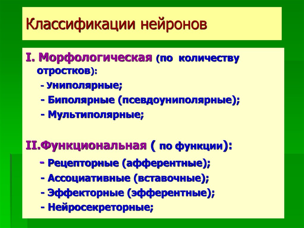 Морфологическим полом. Биохимическая классификация нейронов. Классификации нейронов 8 класс. Предложите свою классификацию нейронов по числу отростков. Патология нейрона.