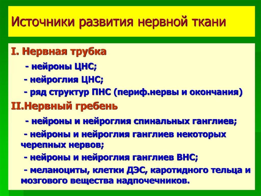 Развития нервной. Источники развития нервной ткани. Источники развития нейроглии. Источник развития нейронов и нейроглии. Эмбриональные источники развития нервной ткани.