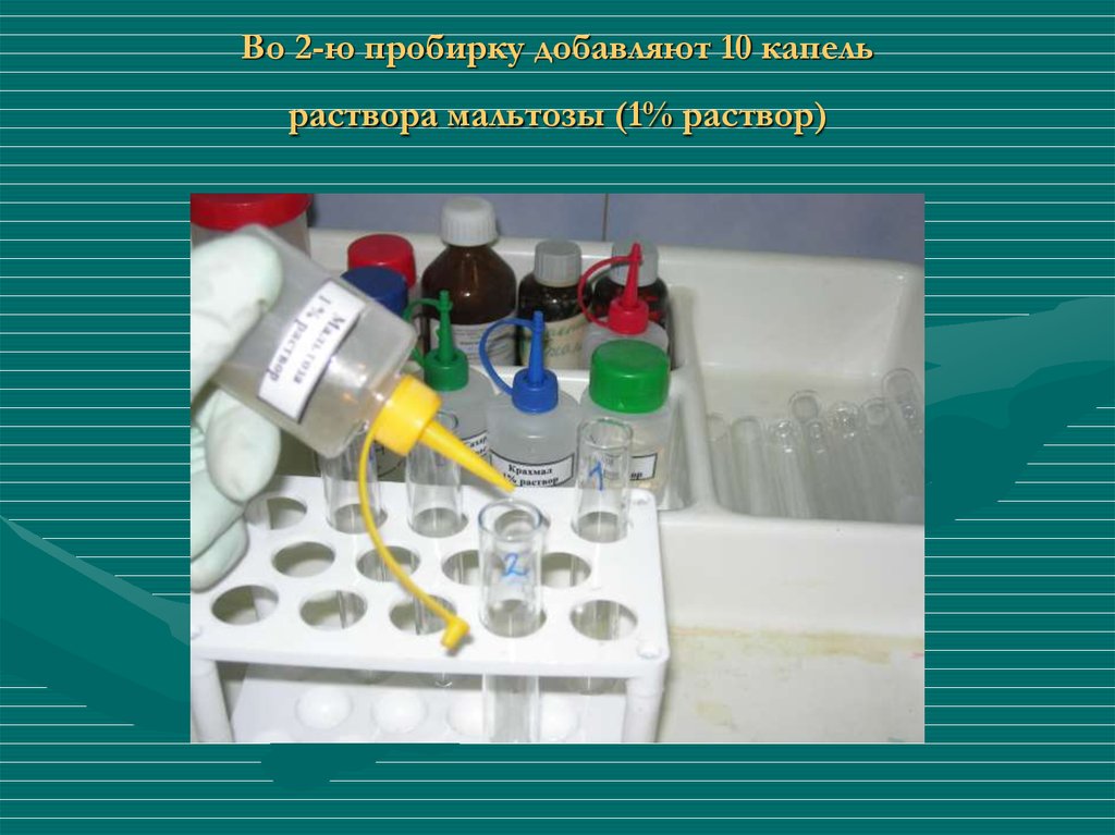 Реакция в пробирке 10. Реактив Ниландера. Метод с о‑крезолфталеинкомплексоном.. 2 -10 Капель. 10 Капель.