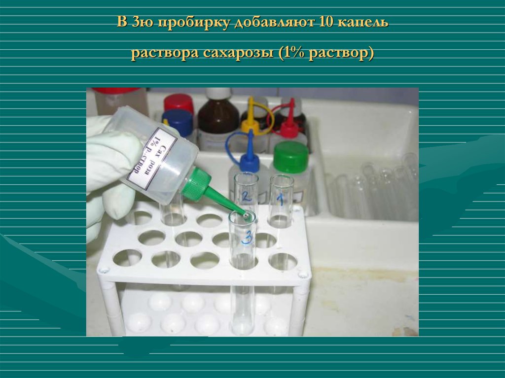 1 1 1 добавить каплю. Биохимия растворы. Раствор с каплями. Сахароза в пробирке. 10 Раствор сахарозы.