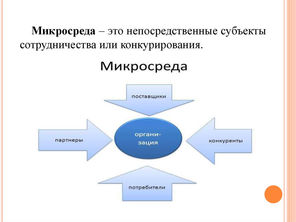 Микросреда проекта это