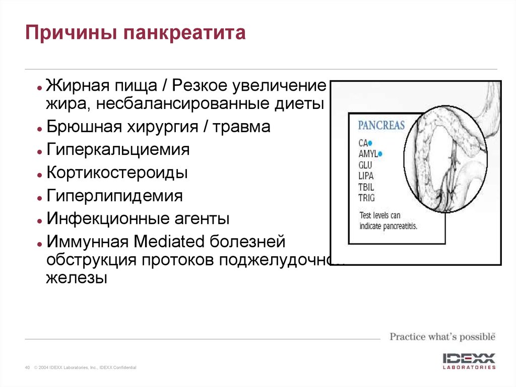 Причины панкреатита. Панкреатит причины. Панкреатит причины возникновения. Панкреатит причины биохимия. Гиперкальциемия и панкреатит.