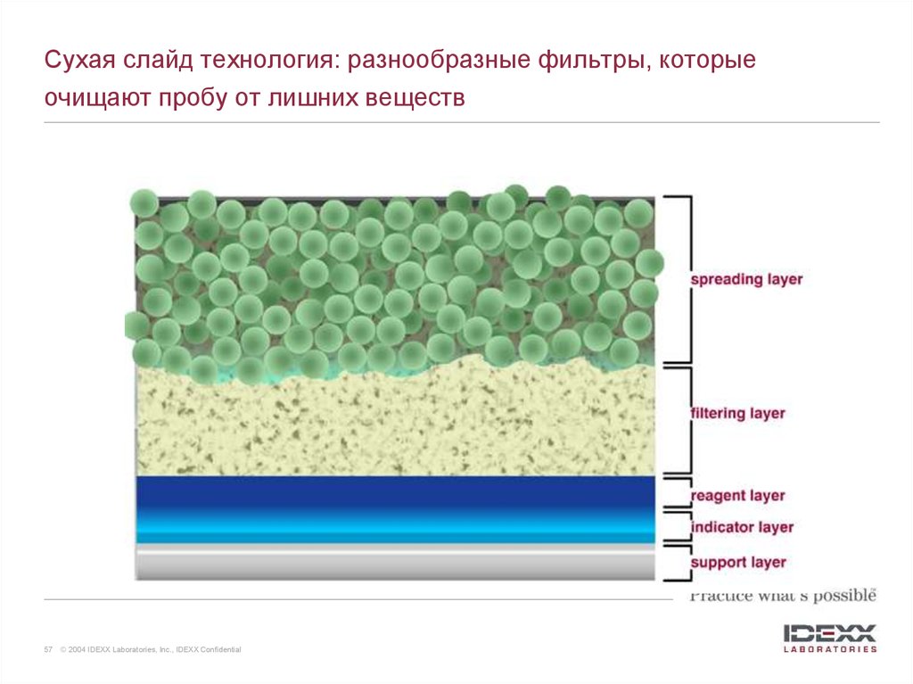 Сухой тест. Слайда для биохимии сухой. Слайдовая технология сухая химия. IDEXX технология сухого слайда. Сухой слайд кровь.