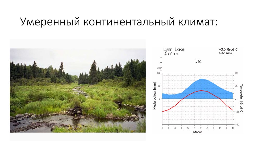 Континентальный количество осадков