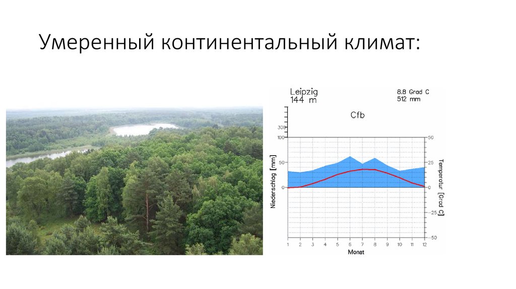 Континентальный климат температура. Климатические области умеренно континентального климата. Климатограмма умеренно континентального климата. Континентальный климат и умеренно континентальный. Умеренно континентальный климат умеренного пояса.