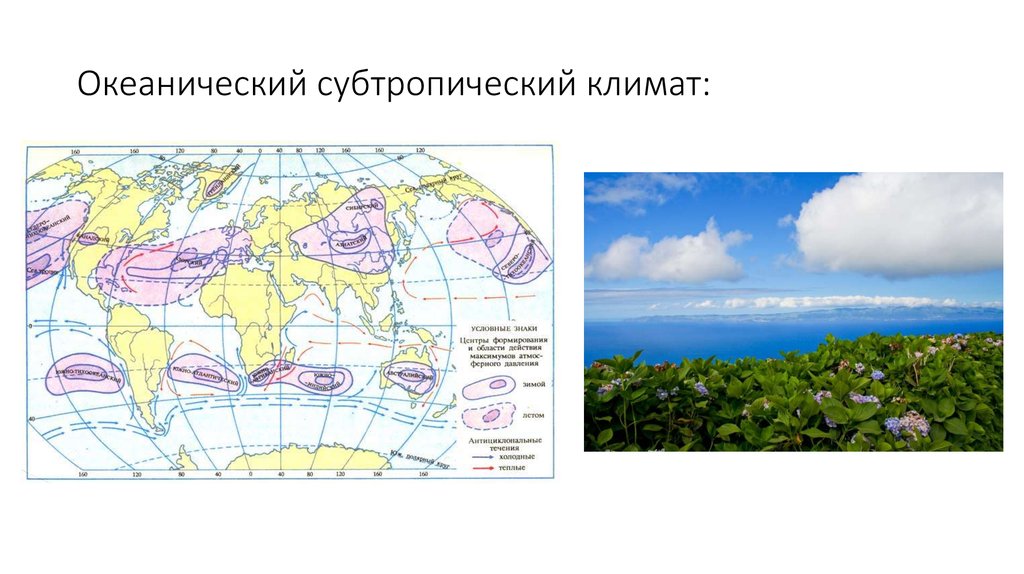 Климатические пояса россии субтропический. Субтропический океанический климат.