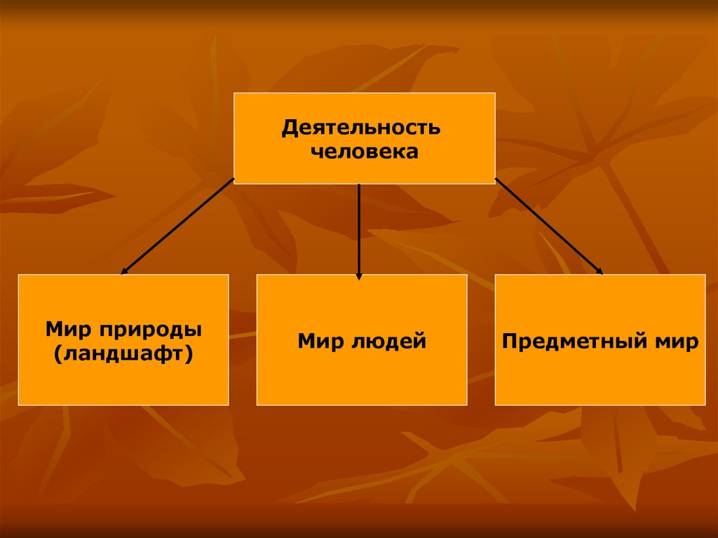 Деятельность человека в мире природы