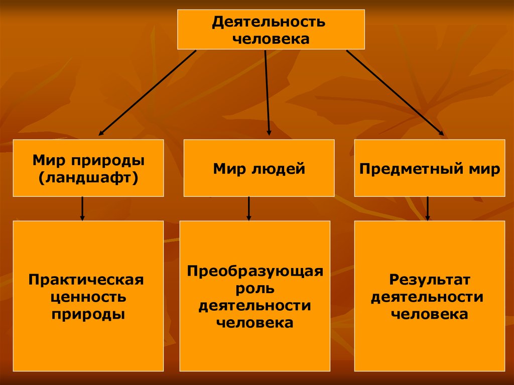 Роль деятельности человека