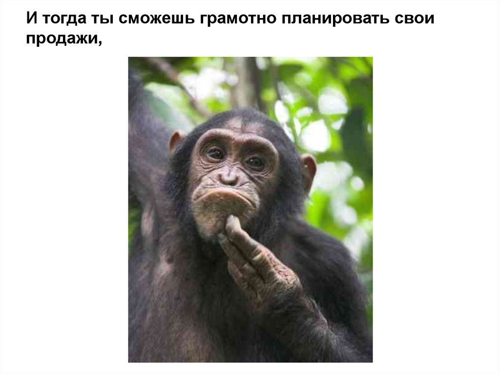 И тогда ты сможешь грамотно планировать свои продажи,