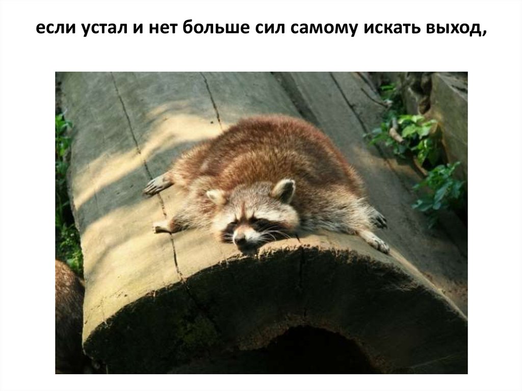 если устал и нет больше сил самому искать выход,