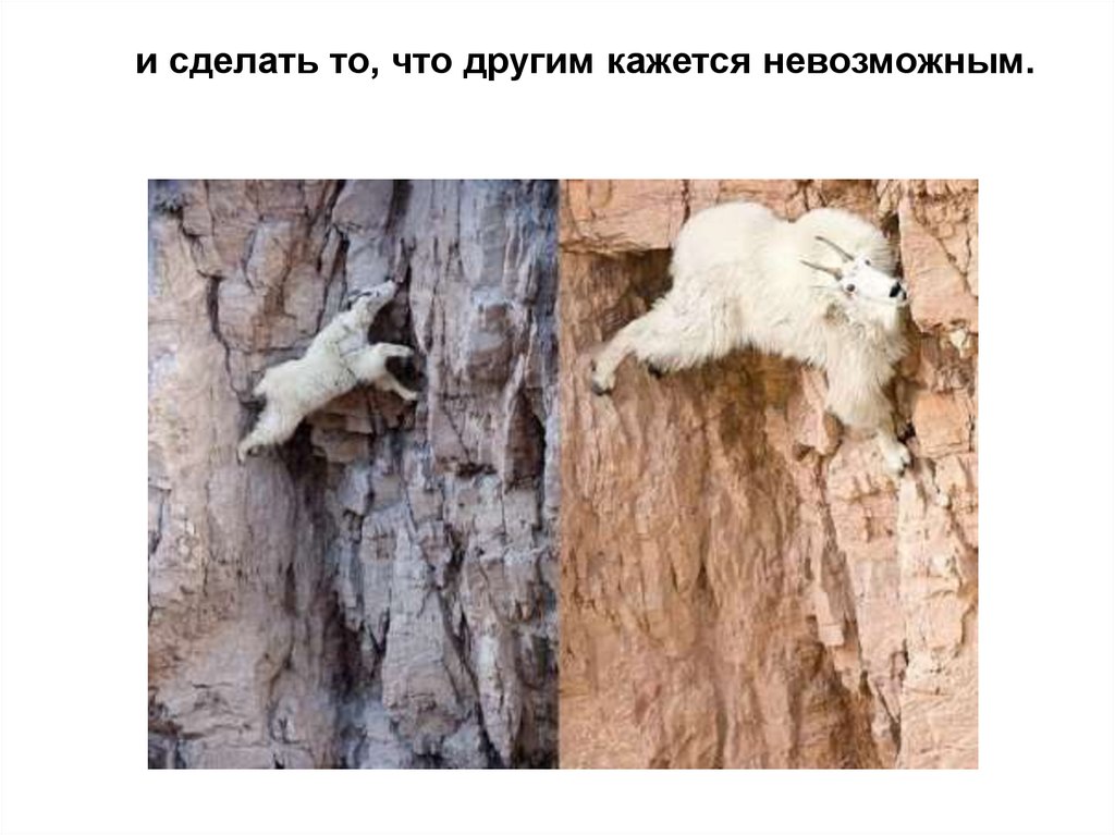 Жить Захочешь И Не Так Раскорячишься