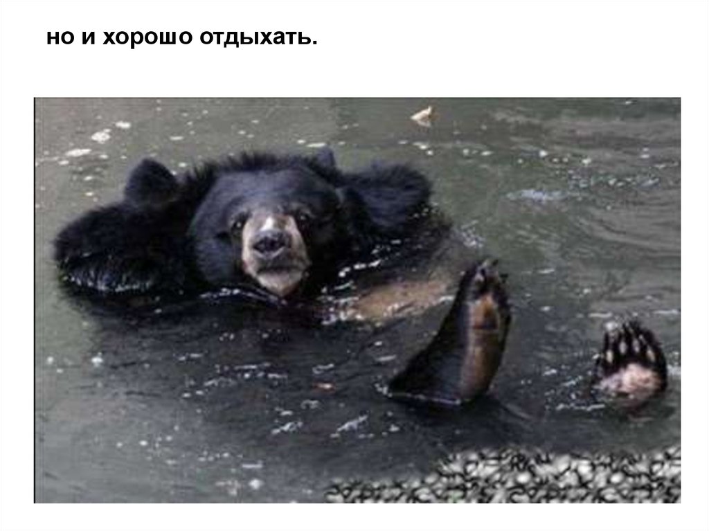 но и хорошо отдыхать.