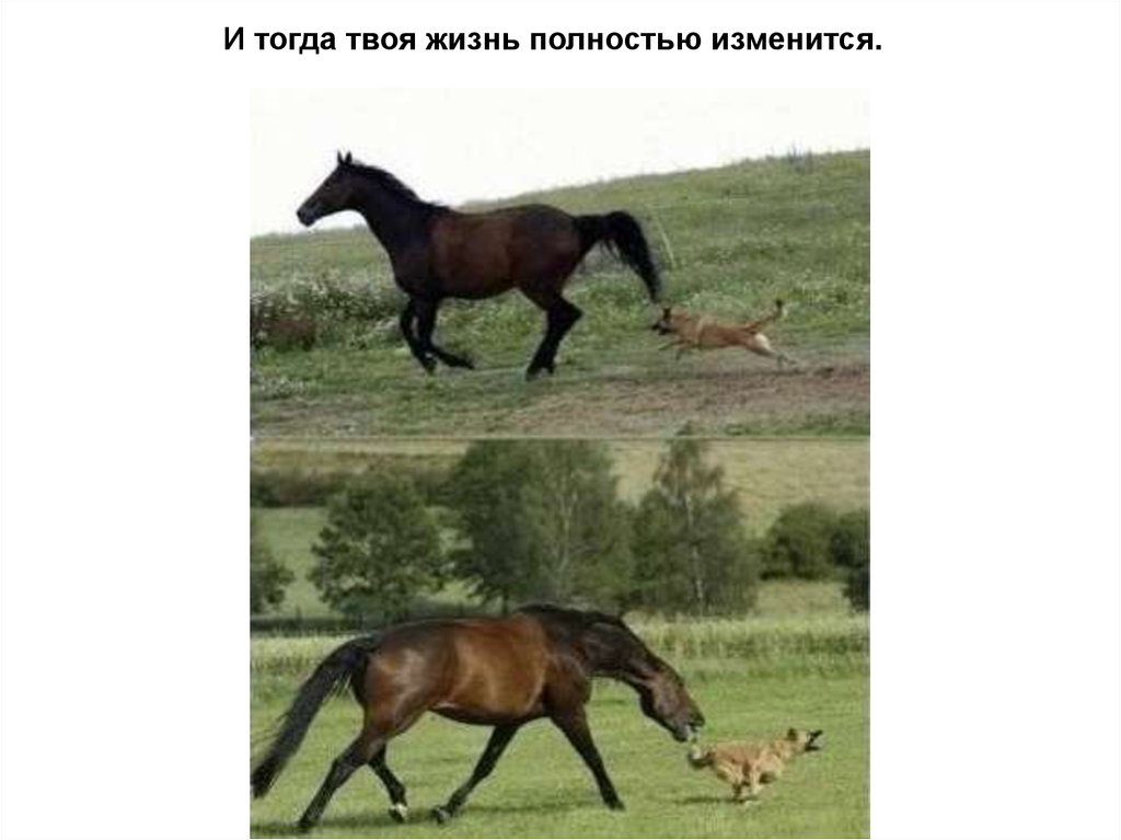 И тогда твоя жизнь полностью изменится.