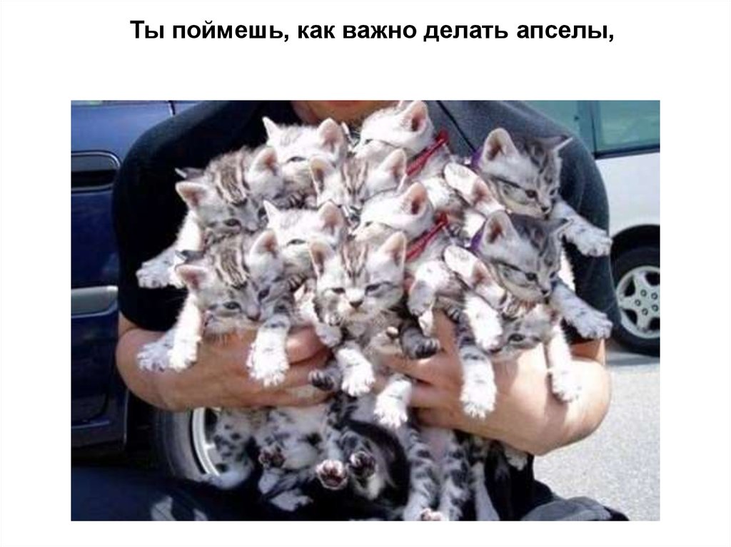 Ты поймешь, как важно делать апселы,