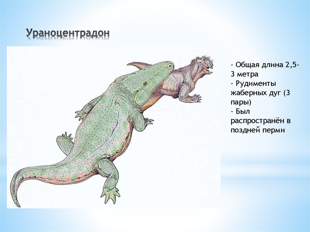 Ураноцентрадон