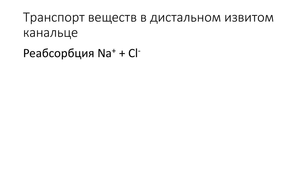 Транспорт веществ в дистальном извитом канальце