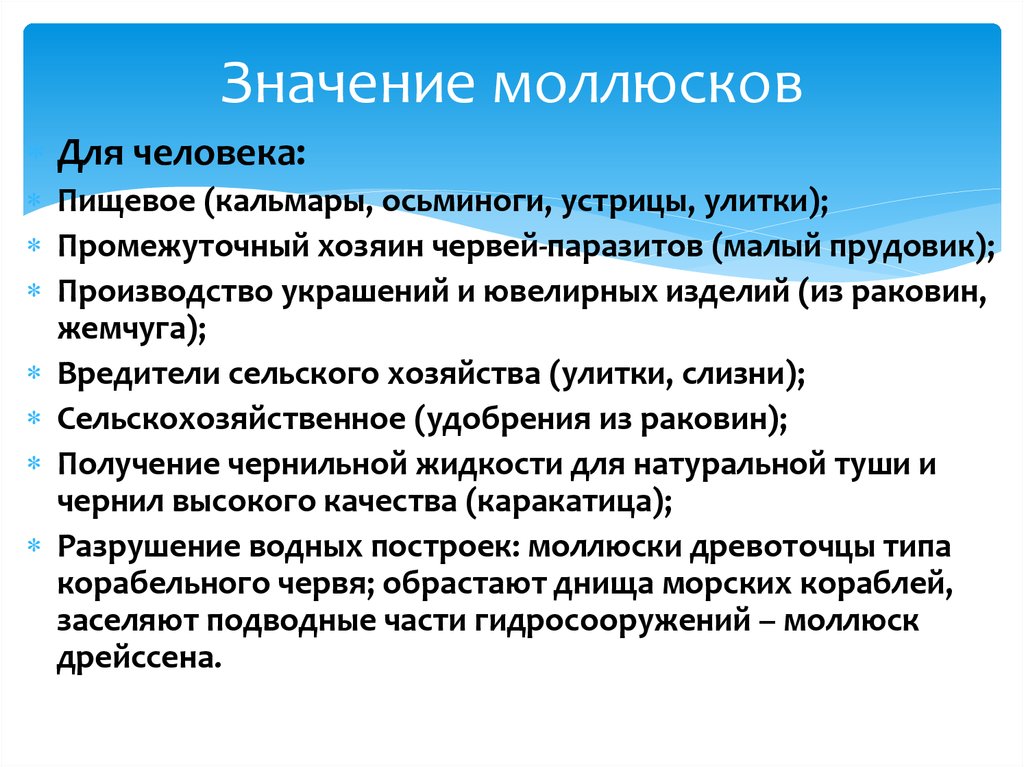 Значение моллюсков в природе и жизни. Значение моллюсков. Роль моллюсков в природе. Значение моллюсков в природе и жизни человека. Роль ракообразных в природе.