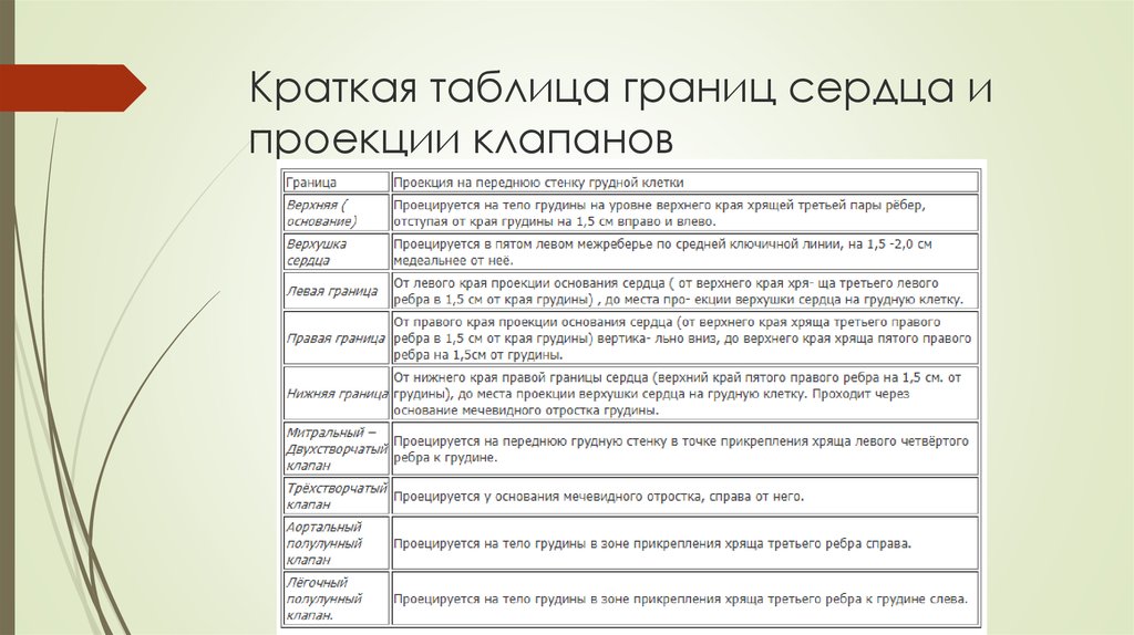 Таблица без границ. Границы сердца таблица. Заполните таблицу границы сердца. Проекция клапанов сердца на грудную клетку. Искусства рубежа таблица.