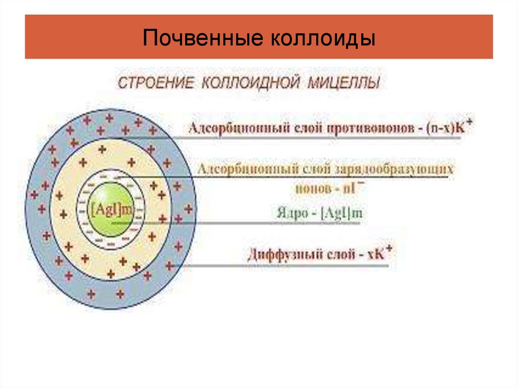 Схема строения коллоидной частицы