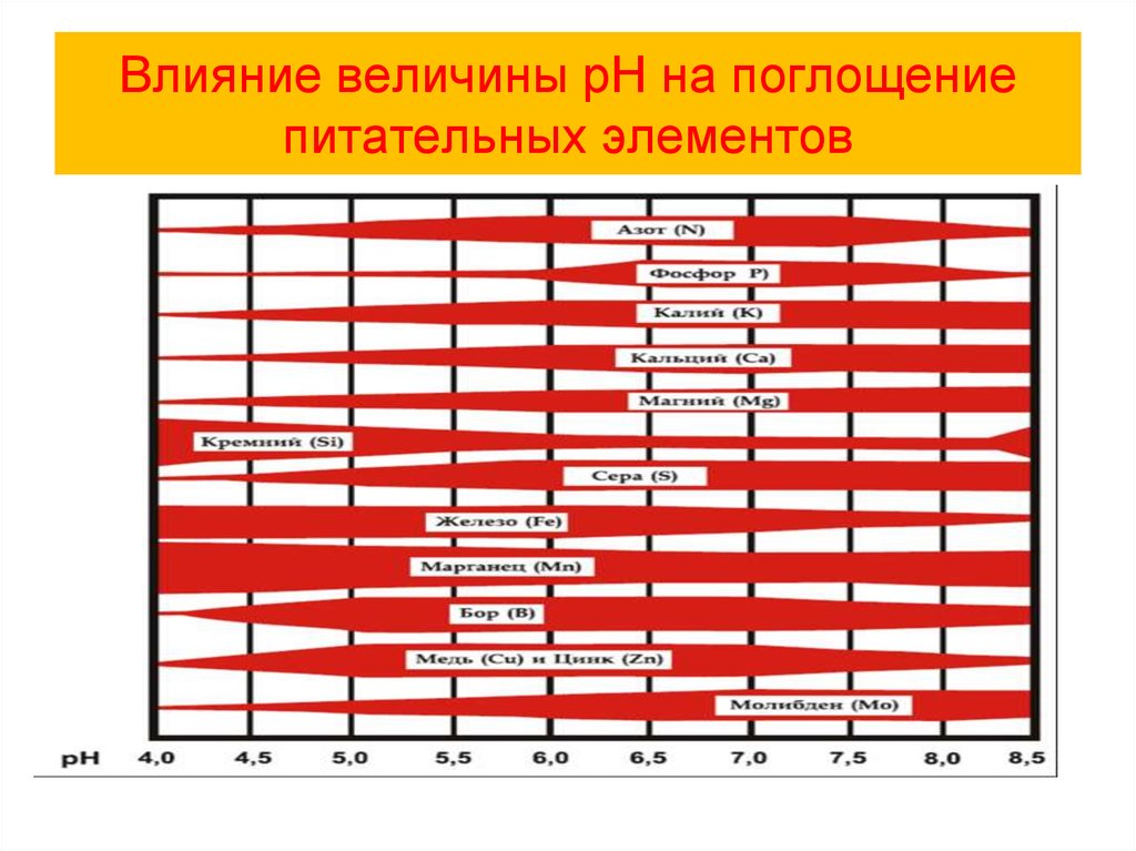 Величина влияния. Таблица поглощения питательных веществ PH. Доступность элементов от PH. Влияние PH на растения. PH И питательные вещества.