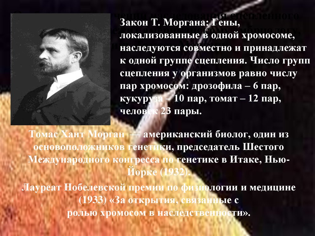 Гена полов. Закон Томаса Моргана гены локализованные в одной. Законы генетики установленные Морганом. Томас Морган законы генетики с полом. Законы Моргана половая генетика.