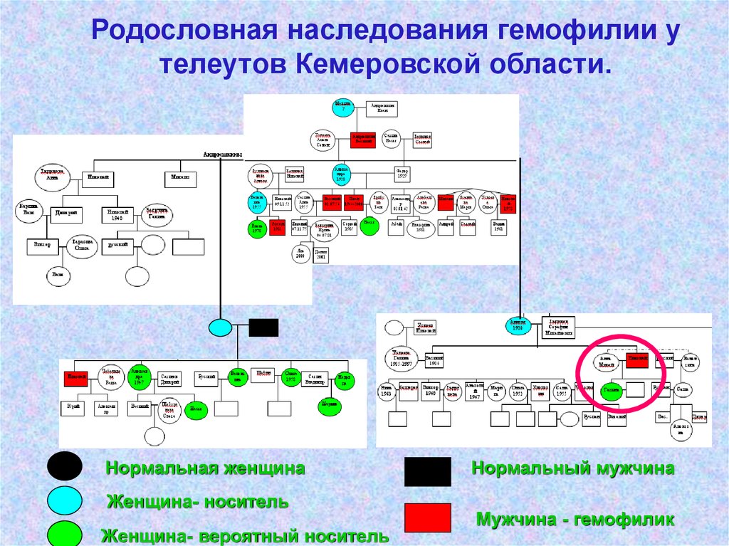 Схема наследования гемофилии