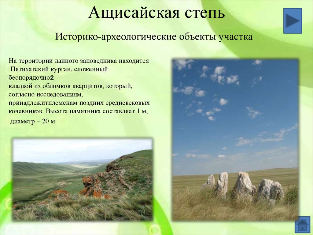 Название заповедников расположенных в зоне степей. Ащисайская степь заповедник. Ащисайская степь Оренбургской области. Проект о заповеднике в Оренбургской области. Участок