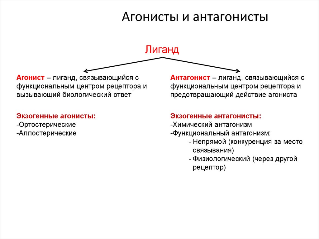 Антагонист что это простыми словами