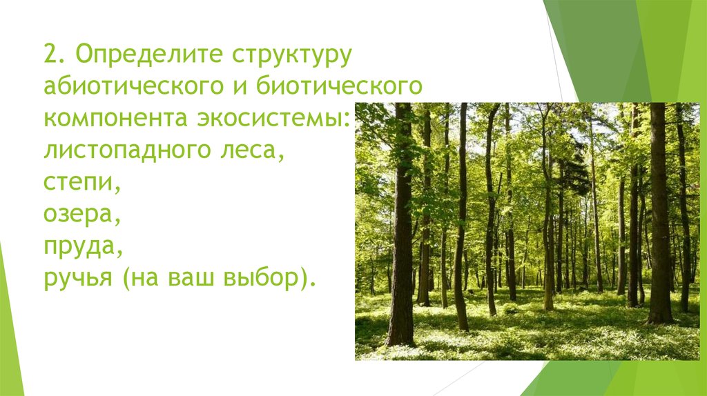 Смешанный лес факторы. Абиотические факторы лиственного леса. Биотические факторы широколиственного леса. Смешанные леса абиотический компонент. Биотическими компонентами экосистемы леса.