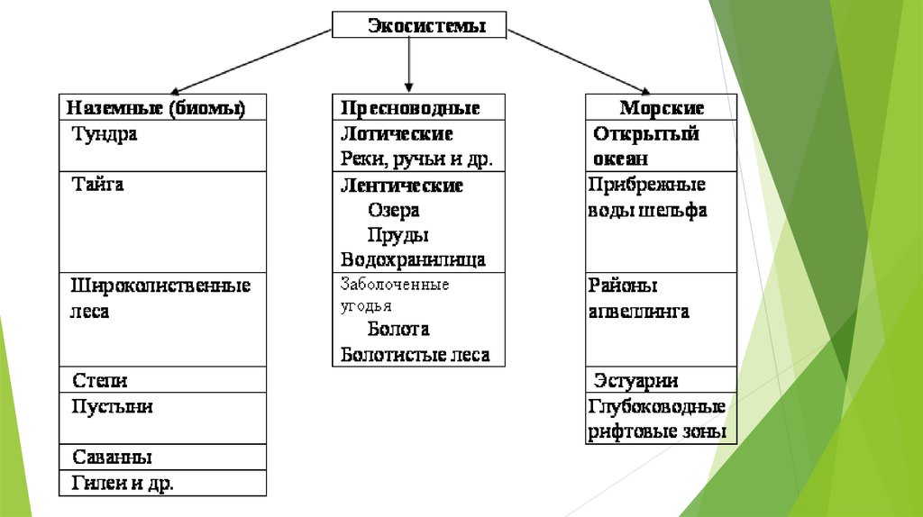 Сравните водные и наземные экосистемы на рисунке и заполните таблицу