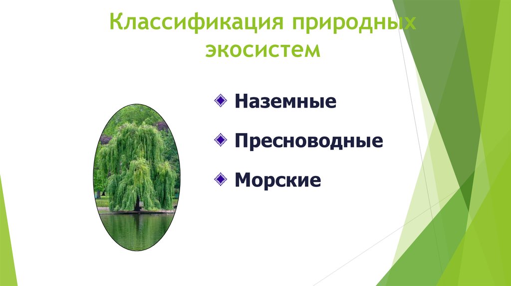 Экосистемы компоненты экосистем презентация. Классификация природных экосистем. Абиотический компонент экосистемы это. Наземные экосистемы. Абиотического и биотического компонента экосистемы.