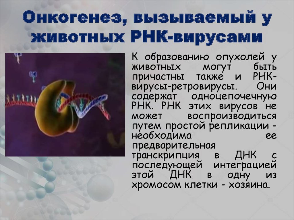 Нестабильный плазмид телепортации биошок 2 как взять