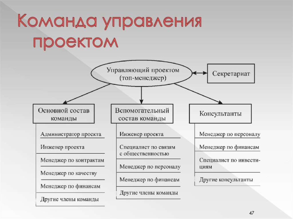 Команда проекта функции