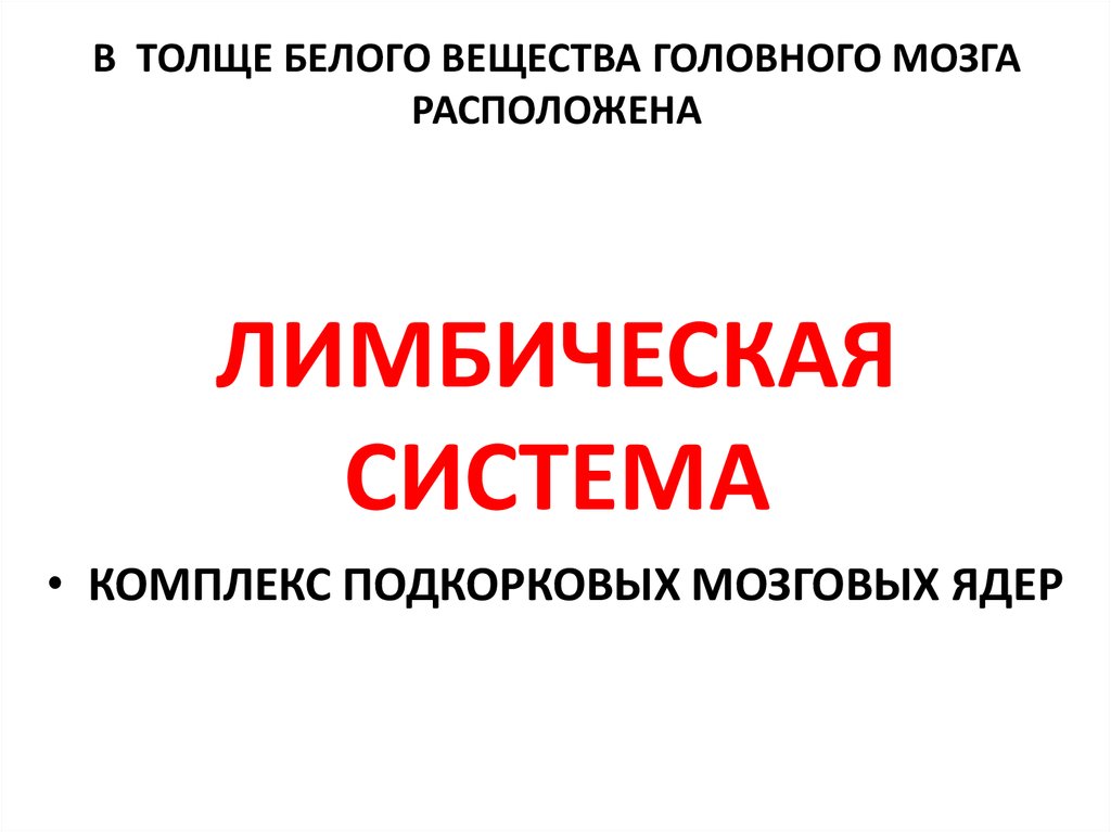 В ТОЛЩЕ БЕЛОГО ВЕЩЕСТВА ГОЛОВНОГО МОЗГА РАСПОЛОЖЕНА ЛИМБИЧЕСКАЯ СИСТЕМА