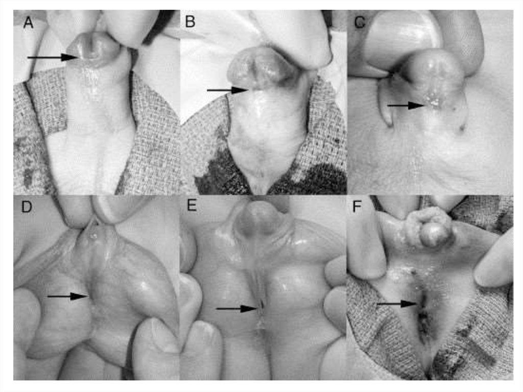 Әйелін қағып алғанын, ал күйеуі оны жалап жатқанын қараңыз. Кунилингус үшін бастық порно онлайн