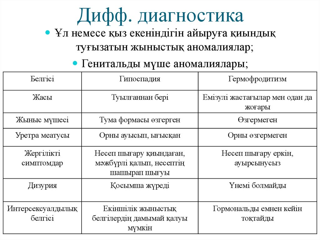 Гей түкті порно